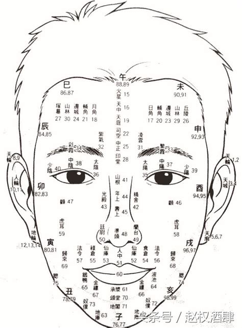 面相年齡|【面相年齡圖】暢視你的晚年：歲月在面相上的謎團，。